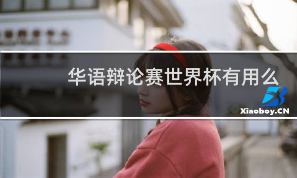 华语辩论赛世界杯有用么