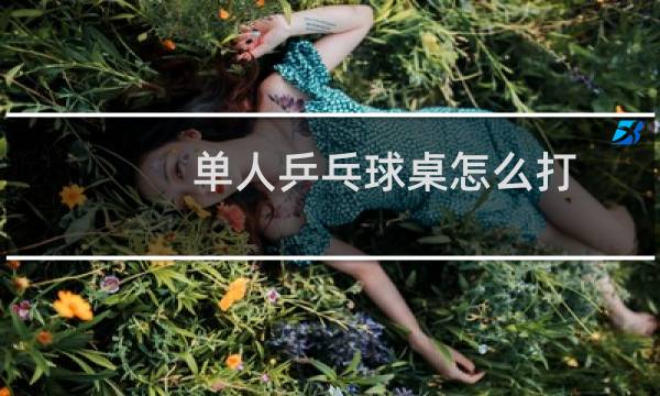 单人乒乓球桌怎么打