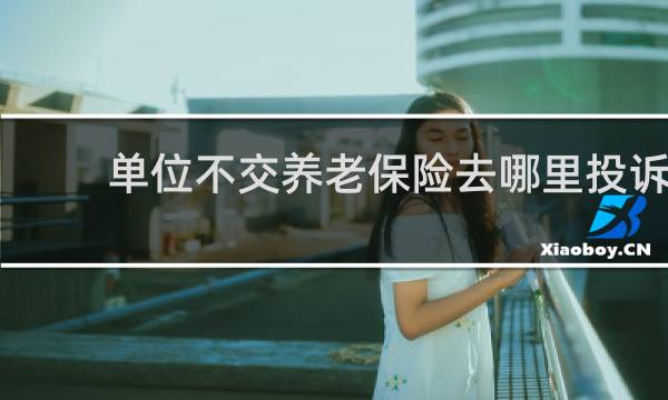 单位不交养老保险去哪里投诉图片