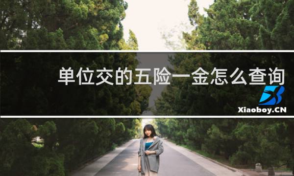 单位交的五险一金怎么查询