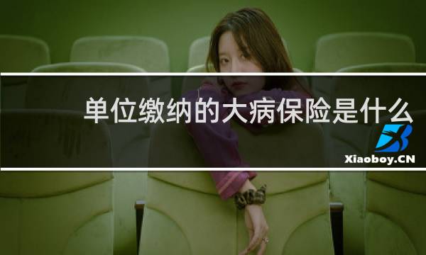 单位缴纳的大病保险是什么