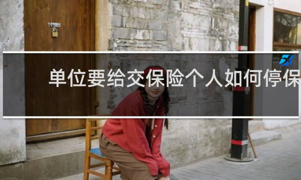 单位要给交保险个人如何停保图片