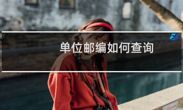 单位邮编如何查询