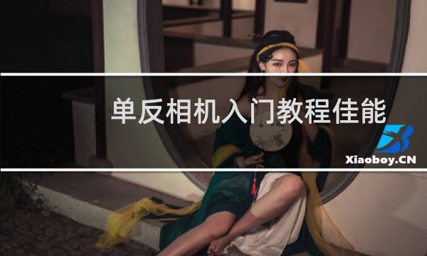 单反相机入门教程佳能（单反相机入门教程）图片