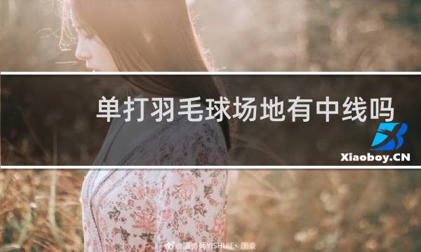 单打羽毛球场地有中线吗