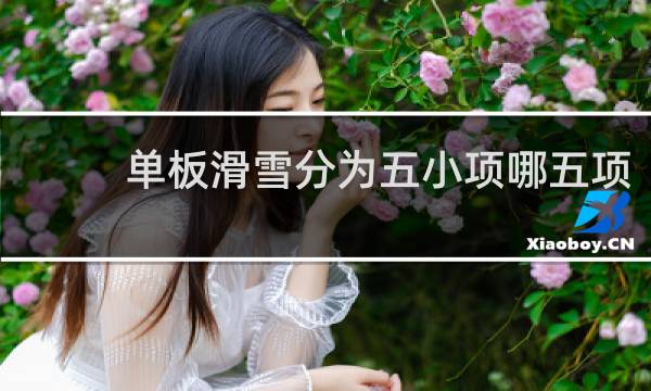 单板滑雪分为五小项哪五项
