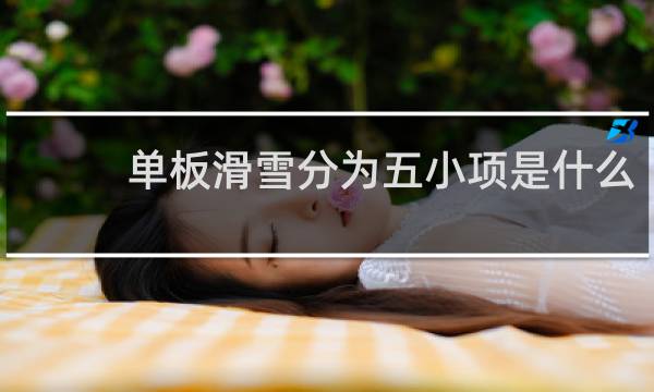 单板滑雪分为五小项是什么