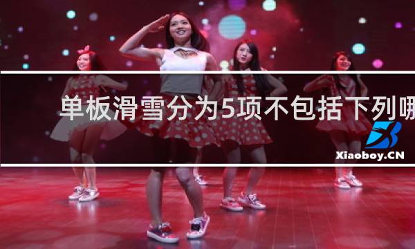 单板滑雪分为5项不包括下列哪项