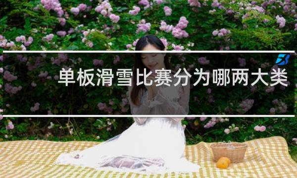 单板滑雪比赛分为哪两大类