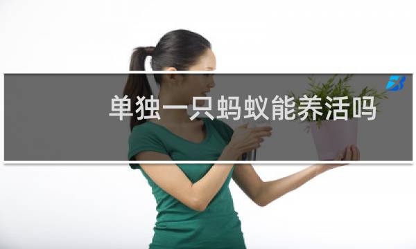 单独一只蚂蚁能养活吗
