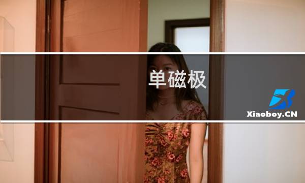 单磁极