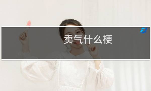 卖气什么梗