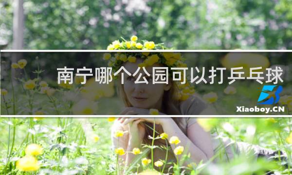 南宁哪个公园可以打乒乓球