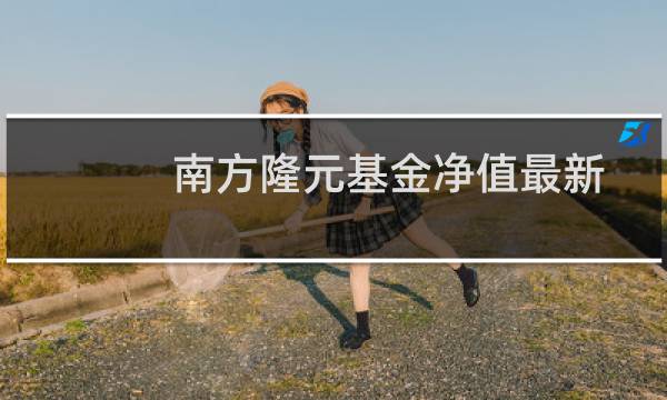 南方隆元基金净值最新估值(南方隆元基金净值)