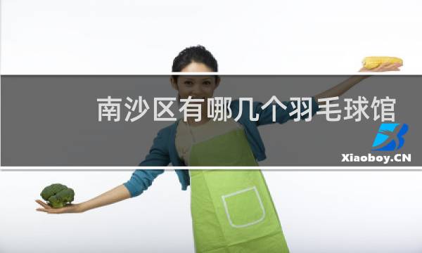 南沙区有哪几个羽毛球馆
