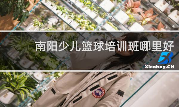 南阳少儿篮球培训班哪里好