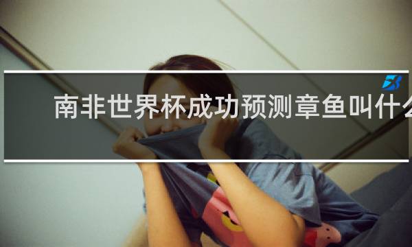 南非世界杯成功预测章鱼叫什么