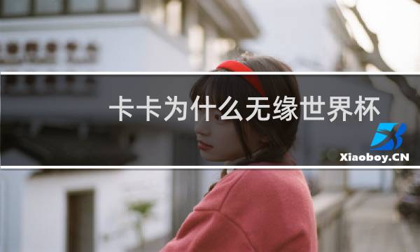 卡卡为什么无缘世界杯（卡卡为什么无缘世界杯）图片