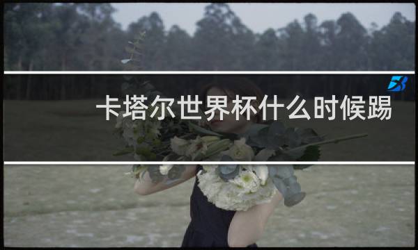 卡塔尔世界杯什么时候踢