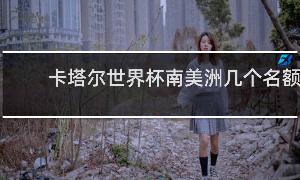 卡塔尔世界杯南美洲几个名额