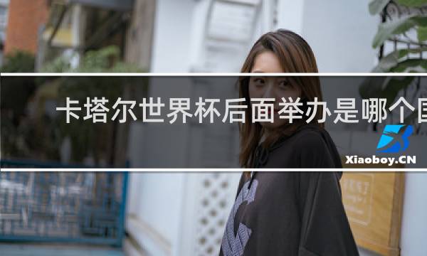 卡塔尔世界杯后面举办是哪个国家