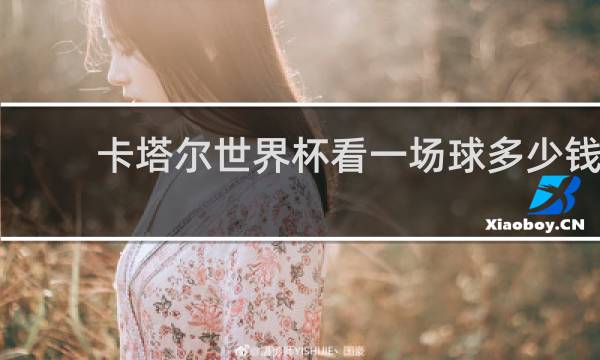 卡塔尔世界杯看一场球多少钱