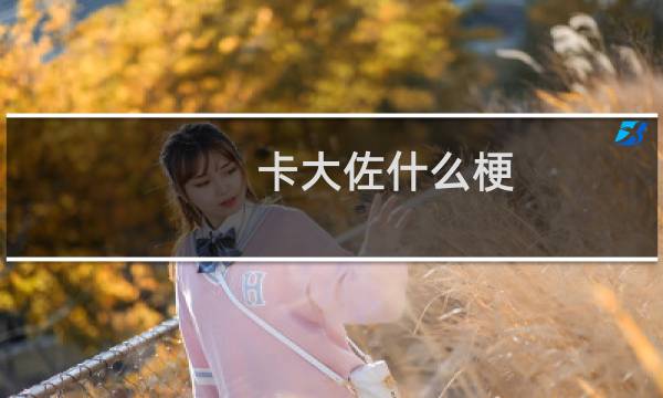 卡大佐什么梗