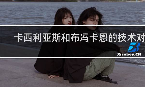 卡西利亚斯和布冯卡恩的技术对比
