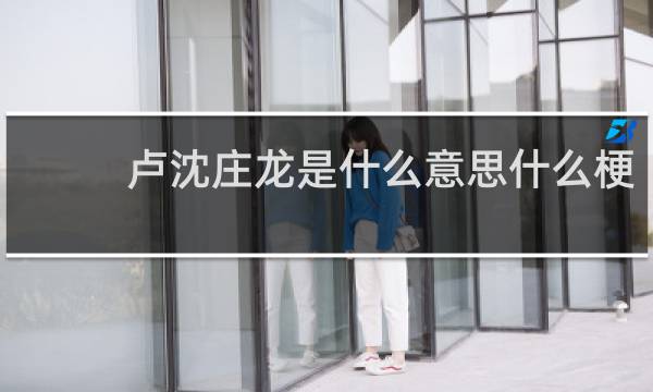 卢沈庄龙是什么意思什么梗