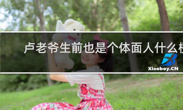 卢老爷生前也是个体面人什么梗