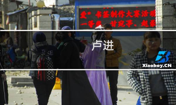 卢进(卢进出生年月?)
