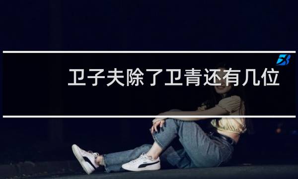 卫子夫除了卫青还有几位兄弟?他们最后结局如何?