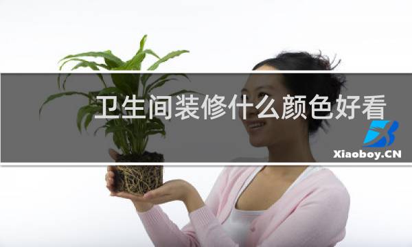 卫生间装修什么颜色好看图片
