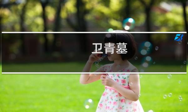 卫青墓