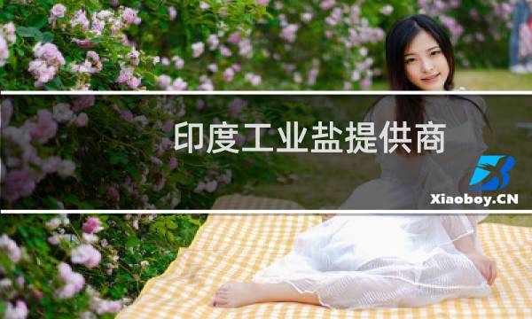 印度工业盐提供商图片