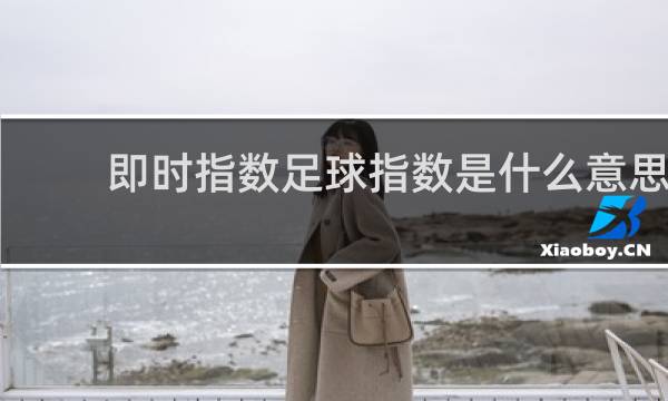 即时指数足球指数是什么意思