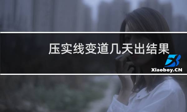 压实线变道几天出结果