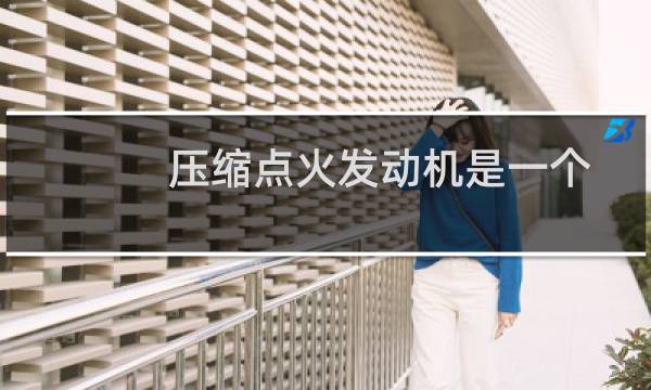 压缩点火发动机是一个很大的突破 我们必须尝试一个图片