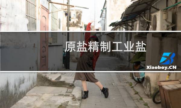 原盐精制工业盐图片