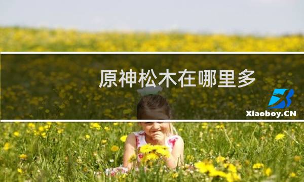原神松木在哪里多 松木位置分布大全