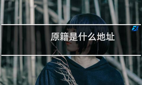 原籍是什么地址（原籍是什么意思）图片