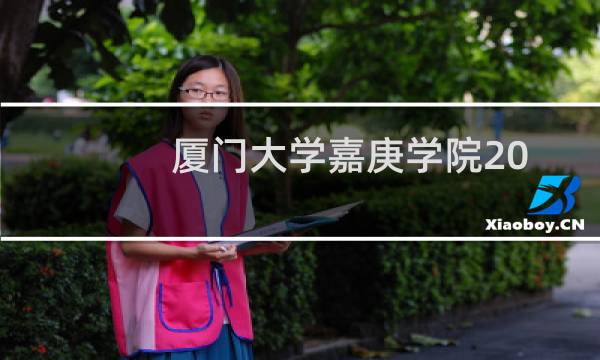 厦门大学嘉庚学院2024艺术类各专业分数线