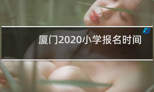 厦门2020小学报名时间