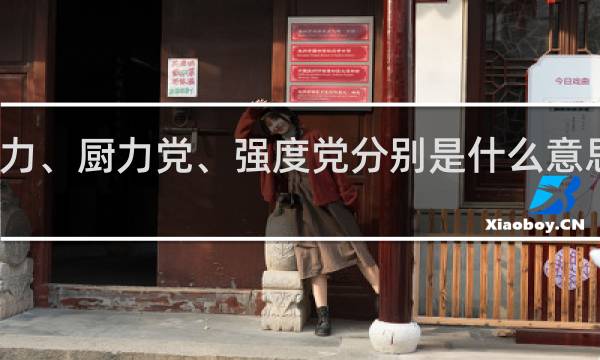 厨力、厨力党、强度党分别是什么意思什么梗