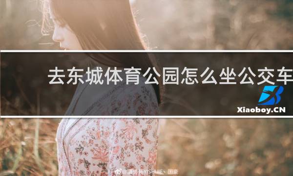 去东城体育公园怎么坐公交车