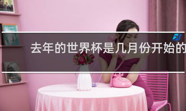 去年的世界杯是几月份开始的
