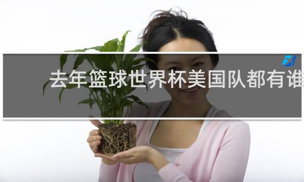 去年篮球世界杯美国队都有谁