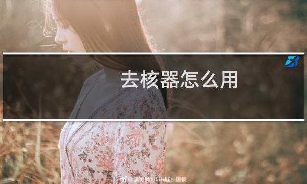 去核器怎么用