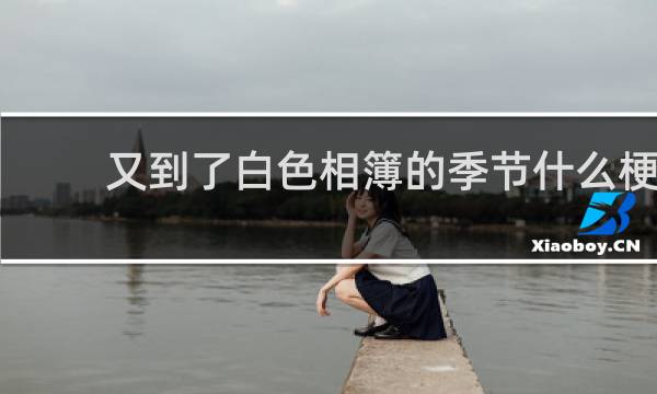 又到了白色相簿的季节什么梗