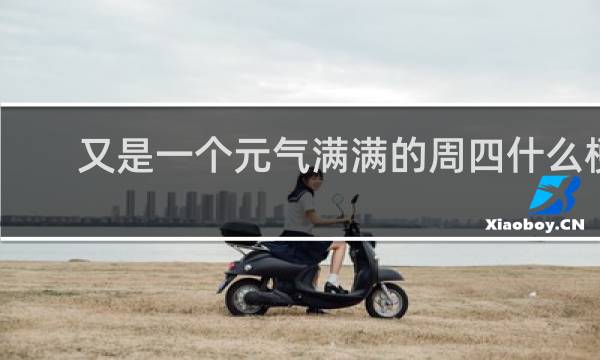 又是一个元气满满的周四什么梗